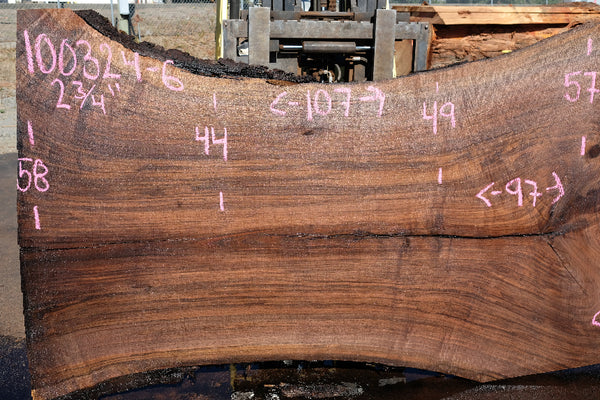 Oregon Black Walnut Slab 100324-6 – Goby Walnut Products, Inc