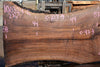 Oregon Black Walnut Slab 100324-6