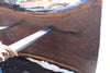Oregon Black Walnut Slab 100324-7