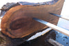 Oregon Black Walnut Slab 100324-8