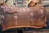 Oregon Black Walnut Slab 100324-8