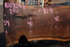 Oregon Black Walnut Slab 100324-8