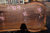 Oregon Black Walnut Slab 100324-8