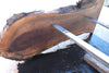 Oregon Black Walnut Slab 100324-9