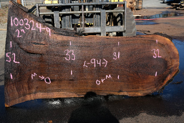 Oregon Black Walnut Slab 100324-9