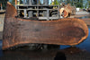 Oregon Black Walnut Slab 100324-10