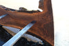 Oregon Black Walnut Slab 100324-10