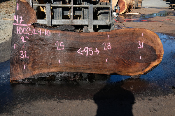 Oregon Black Walnut Slab 100324-10