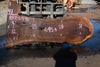 Oregon Black Walnut Slab 100324-10