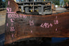 Oregon Black Walnut Slab 100324-10