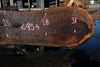 Oregon Black Walnut Slab 100324-10