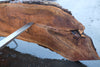 Oregon Black Walnut Slab 100324-11