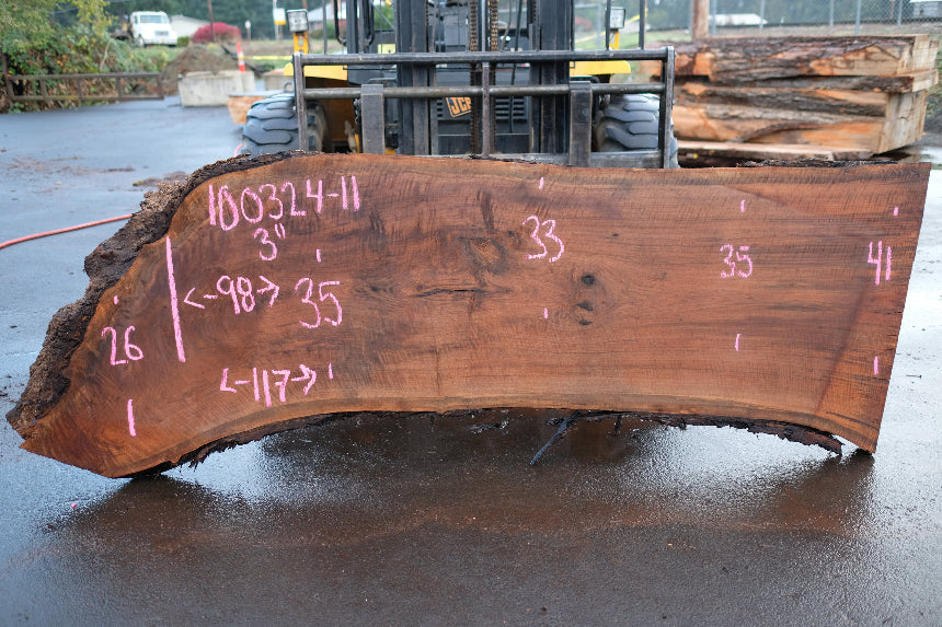 Oregon Black Walnut Slab 100324-11