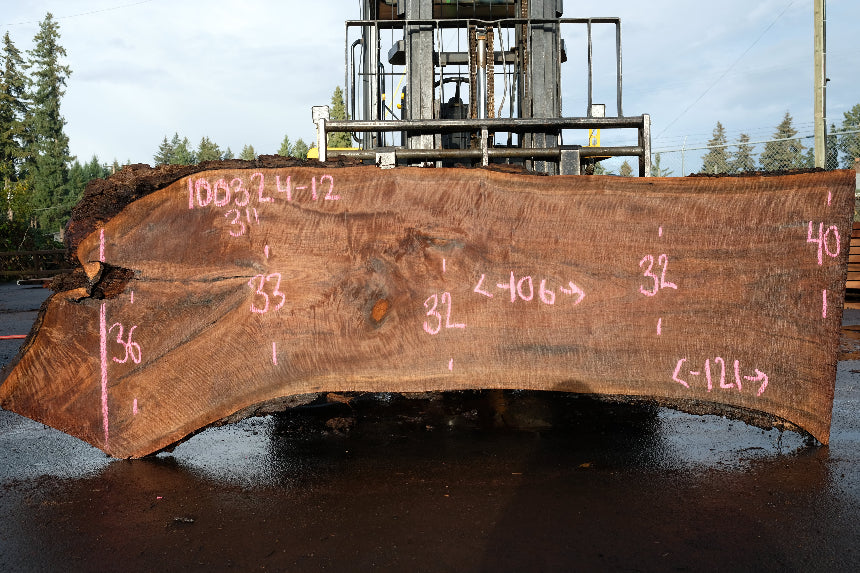 Oregon Black Walnut Slab 100324-12
