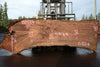 Oregon Black Walnut Slab 100324-12