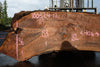 Oregon Black Walnut Slab 100324-12