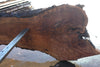 Oregon Black Walnut Slab 100324-13