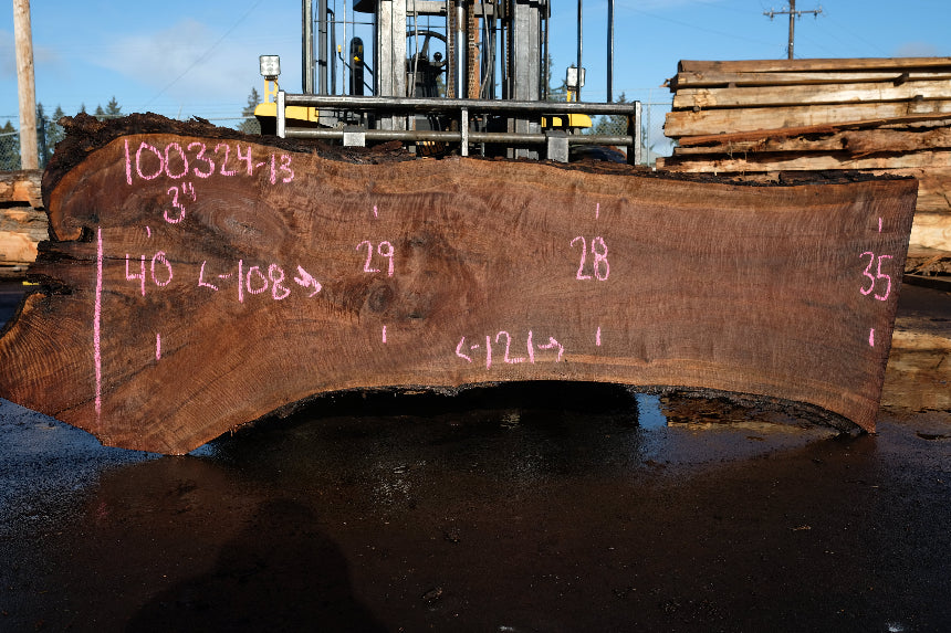 Oregon Black Walnut Slab 100324-13