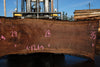 Oregon Black Walnut Slab 100324-13