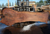 Oregon Black Walnut Slab 100324-14