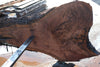Oregon Black Walnut Slab 100324-14