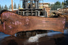 Oregon Black Walnut Slab 100324-14