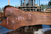 Oregon Black Walnut Slab 100324-14