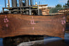 Oregon Black Walnut Slab 100324-14