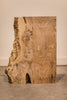 Big Leaf Maple Board B10097