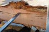Big Leaf Maple Slab 101024-1
