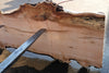 Big Leaf Maple Slab 101024-1