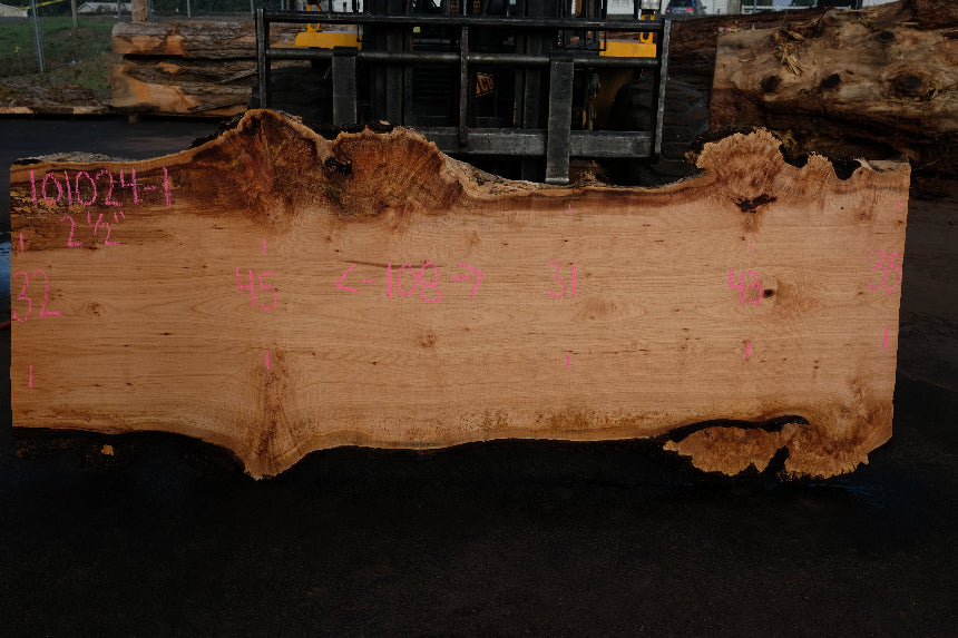 Big Leaf Maple Slab 101024-1