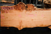 Big Leaf Maple Slab 101024-1