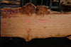 Big Leaf Maple Slab 101024-1