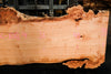 Big Leaf Maple Slab 101024-1