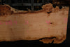 Big Leaf Maple Slab 101024-1