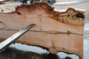 Big Leaf Maple Slab 101024-2