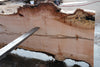 Big Leaf Maple Slab 101024-2