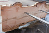 Big Leaf Maple Slab 101024-2
