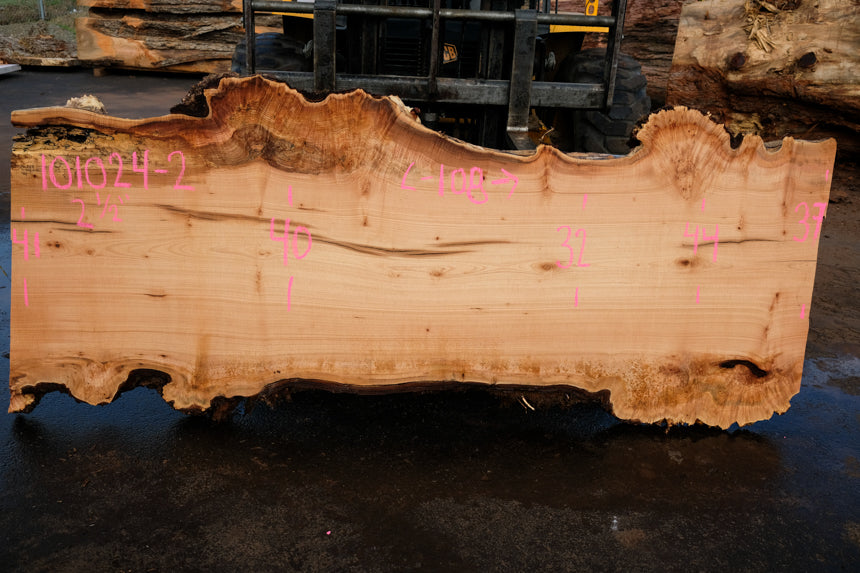 Big Leaf Maple Slab 101024-2