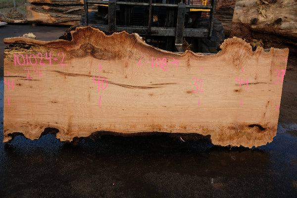 Big Leaf Maple Slab 101024-2
