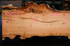 Big Leaf Maple Slab 101024-2