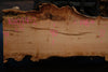 Big Leaf Maple Slab 101024-2