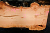 Big Leaf Maple Slab 101024-2