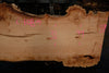 Big Leaf Maple Slab 101024-2