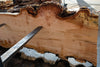 Big Leaf Maple Slab 101024-3