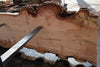 Big Leaf Maple Slab 101024-3