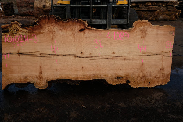 Big Leaf Maple Slab 101024-3