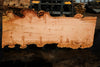 Big Leaf Maple Slab 101024-4