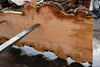 Big Leaf Maple Slab 101024-4